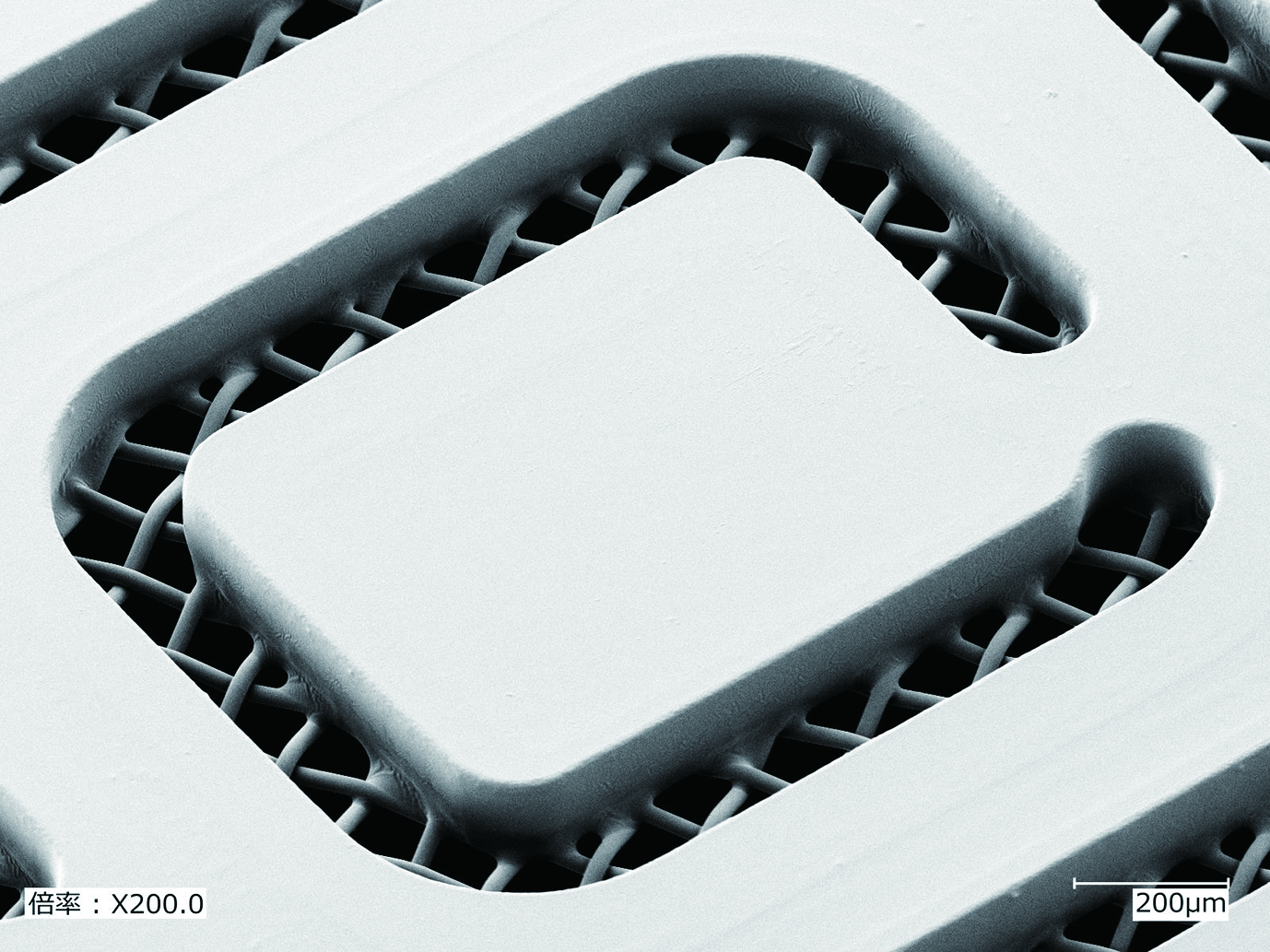 ハイアスペクレシオ版の製品画像