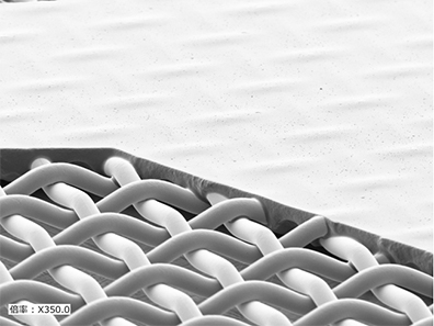 0μmフラット版の拡大画像