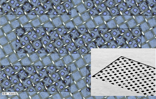 レジンモールドスクリーン版のイメージ画像