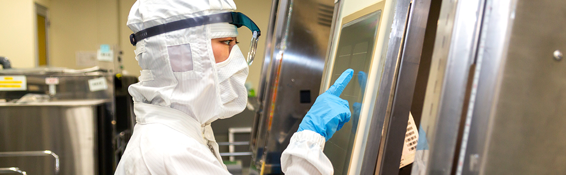 作業をしている様子の写真